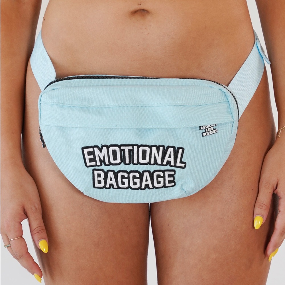 ALF Linda Finegold Teal Fanny Pack NWT
